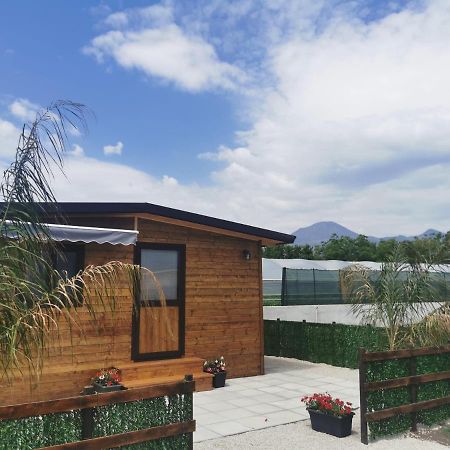 Апартаменты Vesuvius Chalet Relax Боскореале Экстерьер фото
